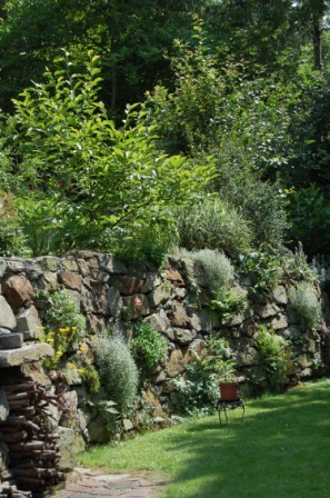 http://www.hildegard-kraeuter-garten.at/media/kraeuterwelt 2010/etage1.JPG